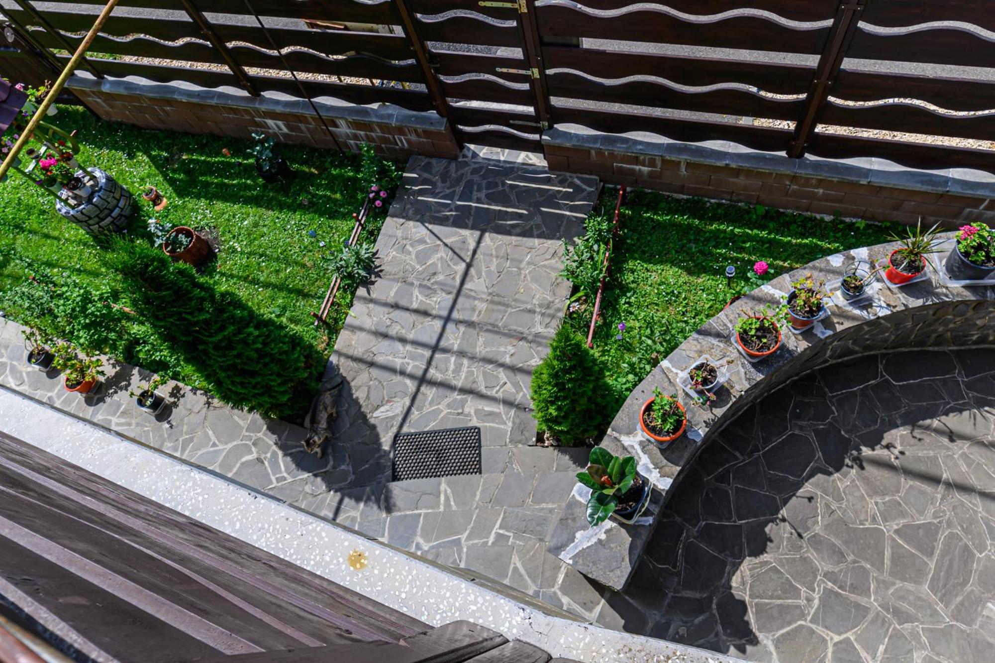 Casa Ramino Hotel Busteni Exterior photo